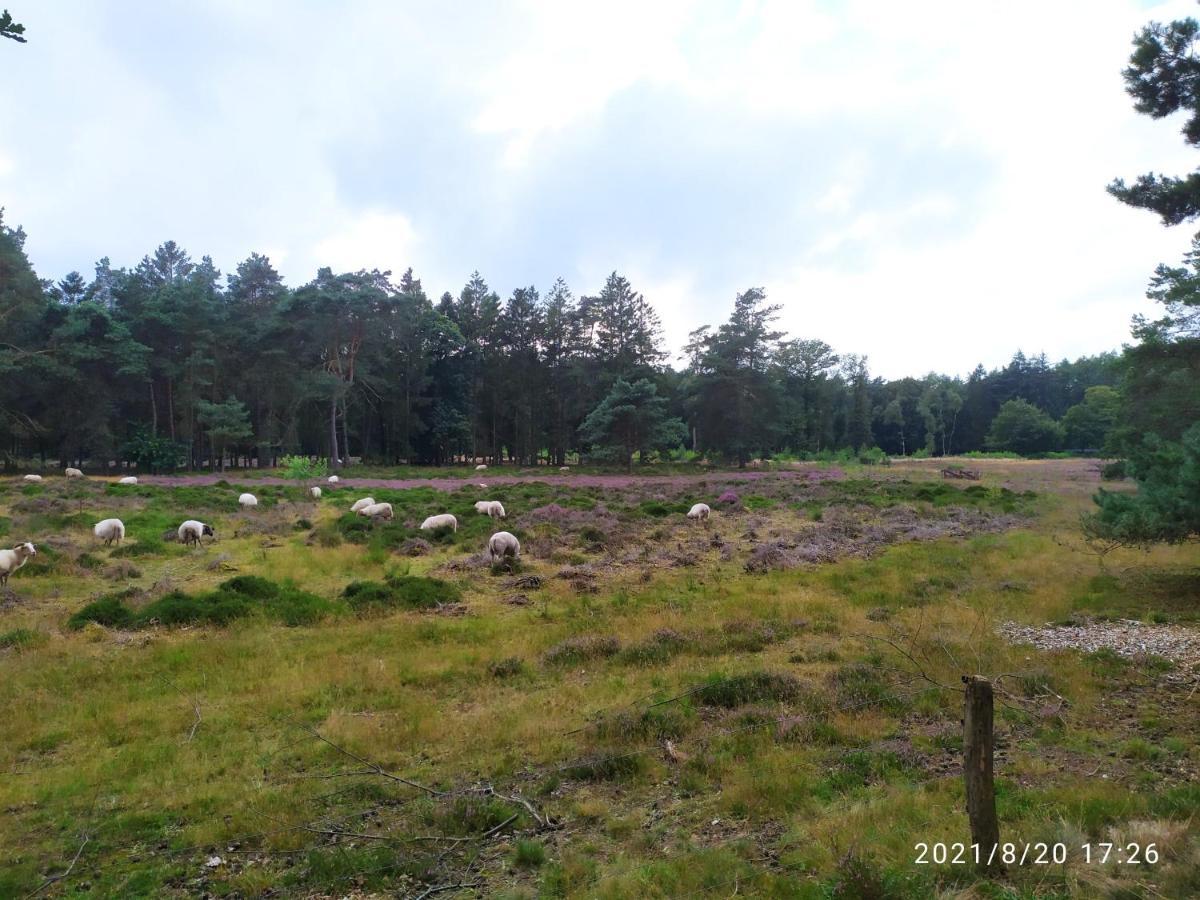 Apartament Oeroeboeroe Roderesch Zewnętrze zdjęcie
